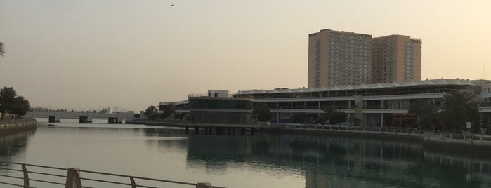 Amwaj Beach Club is one of Feras'ın Beğendiği Mekanlar.