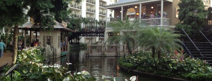 Gaylord Opryland Resort & Convention Center is one of Nashville Trip 2014.