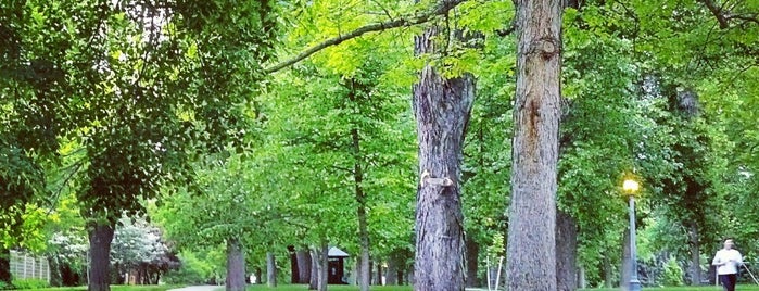 Cheesman Park is one of Locais salvos de Matisse.