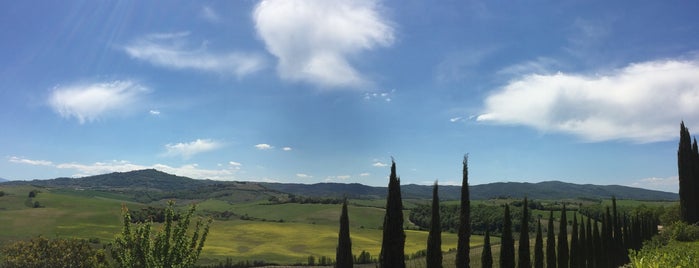 Altesino is one of Tuscany.