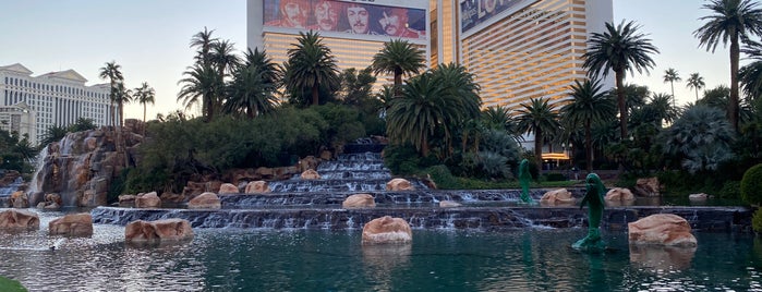 The Mirage Fountains is one of Lizzieさんのお気に入りスポット.
