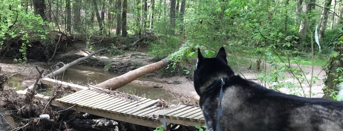 Shamrock Forest is one of Top picks for Hiking Trails.