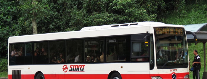 Tower Transit: Bus 945 is one of Singapore Bus Services II.