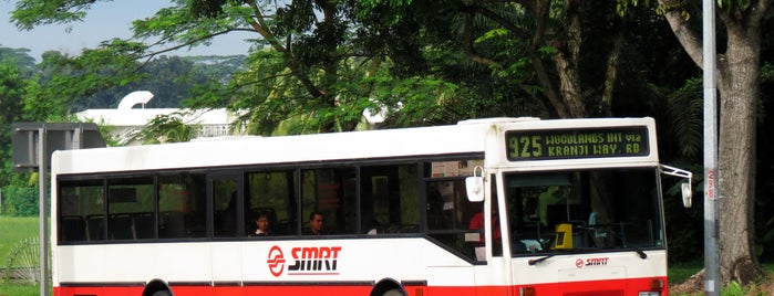 SMRT Buses: Bus 925 is one of SMRT Bus Services.