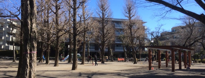 田向公園 is one of 自由が丘線「東98」.