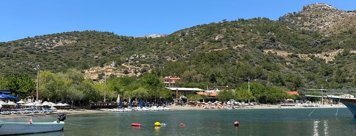 Hayitbükü Sahil is one of camping.