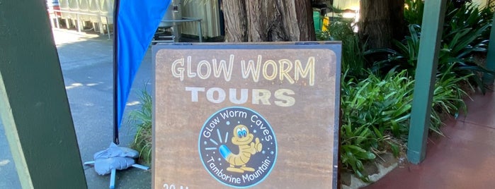 Glow Worms Cave is one of Queensland.