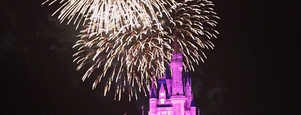 Wishes Nighttime Spectacular is one of Lugares favoritos de M..