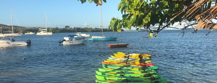 Yokahu Kayak Trips is one of Puerto Rico.