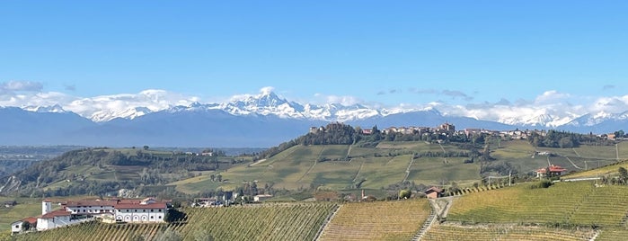 Enoteca Rocca is one of Langhe.