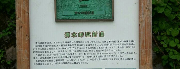 清水峠越新道 is one of 群馬.
