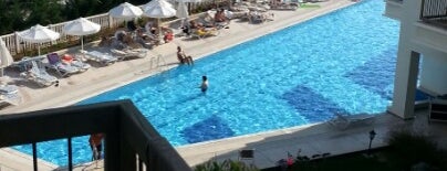 Royal Atlantis Spa & Resort is one of Locais curtidos por ®üy@.