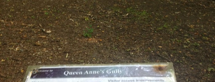 Queen Anne's Gully is one of Favorite Great Outdoors.