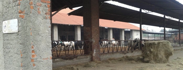 Cascina San Marchetto is one of Cascine storiche.