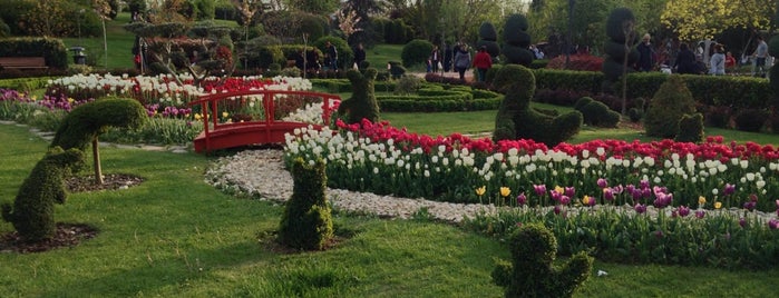 Özgürlük Parkı is one of Lugares favoritos de Mert.