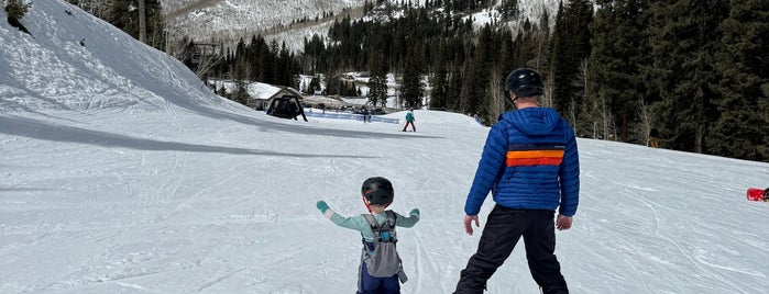 Solitude Mountain Resort is one of Ski Utah.