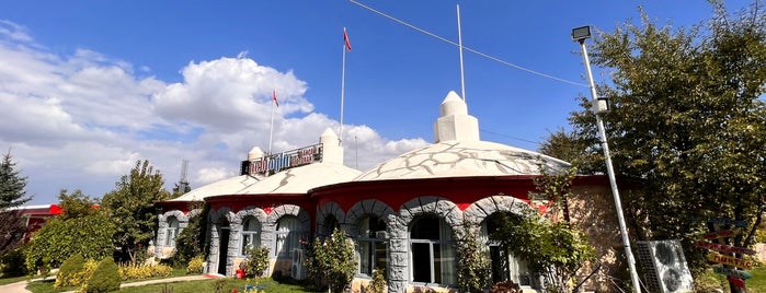 Nebioğlu Çay Bahçesi Et Balık Restaurant is one of Afyon-Kütahya.
