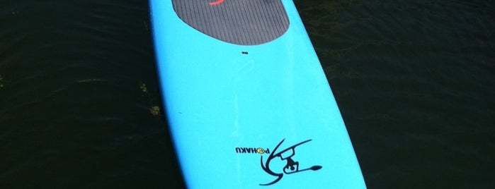 PSS - Paddle Boarding is one of LA Bucket List Before 10 Years Here.