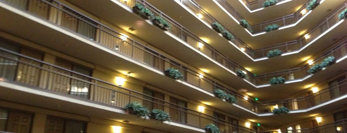 Embassy Suites by Hilton is one of Hotel/Resorts.