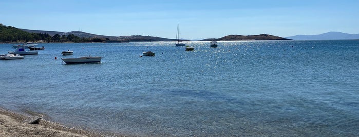 Mersinaki Sahilleri is one of Foça.