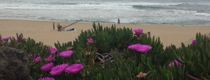 Montara State Beach is one of Playing Host.