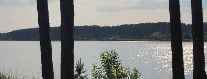 Пляж в Кашино is one of Озера.