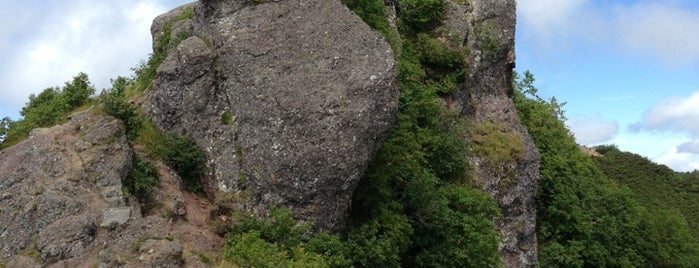 Mt. Gongen is one of 八ヶ岳.