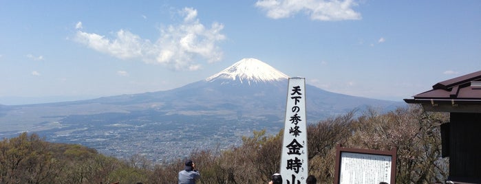 Mt. Kintoki is one of Токио.