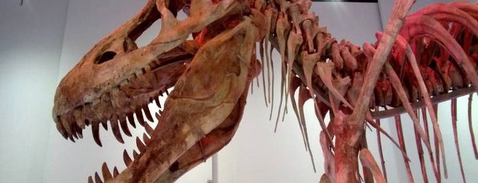 Tarbosaurus Bataar Museum is one of Ulan Batar.
