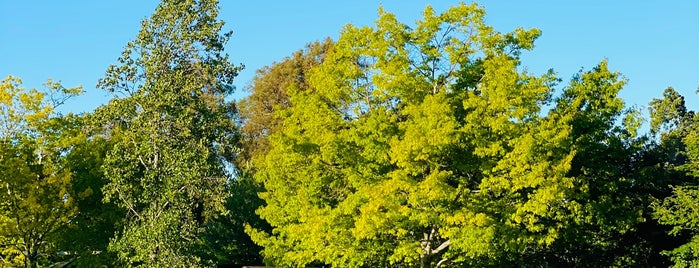 Holbrook Palmer Park is one of Lieux qui ont plu à Douglas.