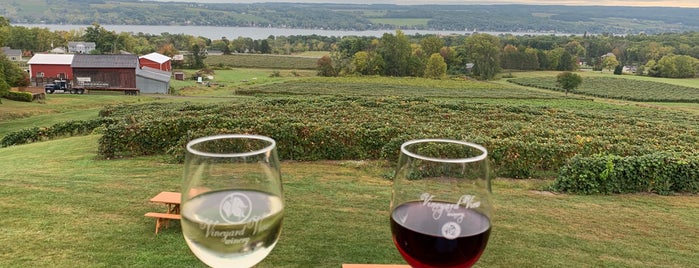 Vineyard View Winery is one of Finger Lakes.
