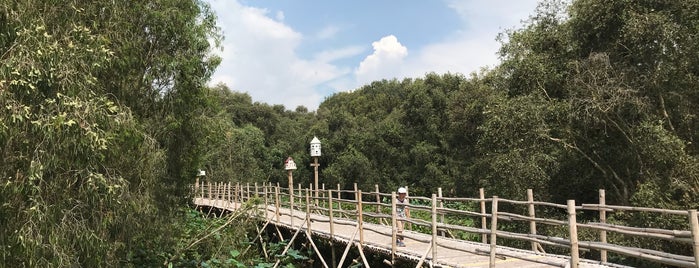 Rừng Tràm Trà Sư (Tra Su Cajuput Forest) is one of Locais curtidos por Alexandra.