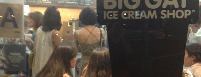Big Gay Ice Cream Shop is one of TODO New York City.