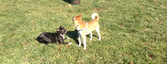 Marlboro Dog Park is one of Dougie & Isabel & Danny.