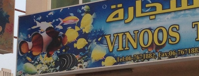 Vinoos is one of George'nin Beğendiği Mekanlar.