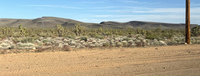 Dolan Springs is one of Arizona.