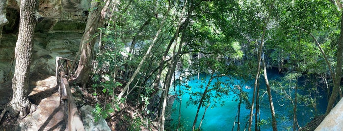 Cenote Yokdzonot is one of Mérida.