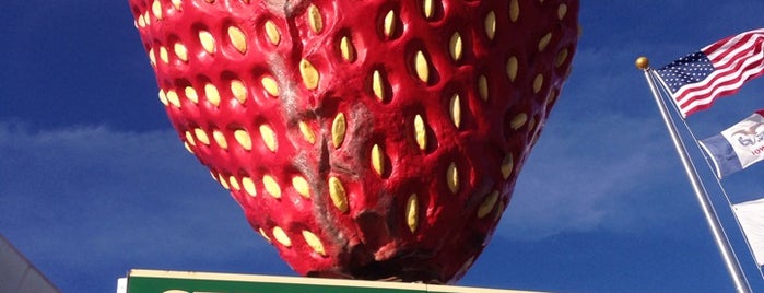 World's Largest Strawberry is one of Quirky Landmarks USA.