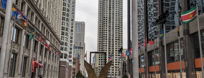 Plaza of the Americas is one of Chicago.