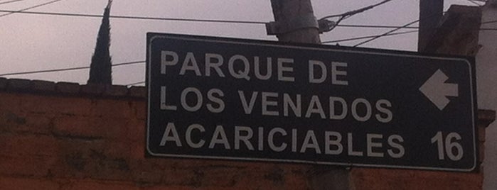 Parque De Los Venados Acariciables is one of Orte, die Evelyn gefallen.