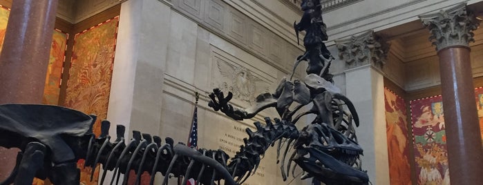 American Museum of Natural History is one of Nina Garcia’s NYC Shopping Guide.