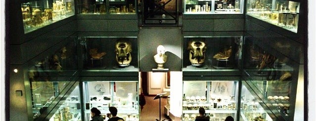 Hunterian Museum is one of 1000 Things To Do in London (pt 1).