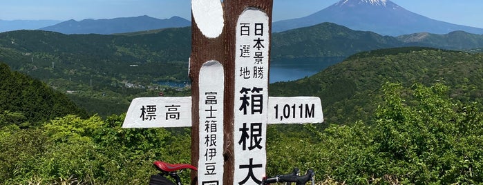 箱根大観山 is one of 神奈川.