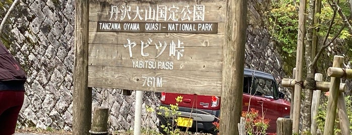 Yabitsu Pass is one of 大山保存.