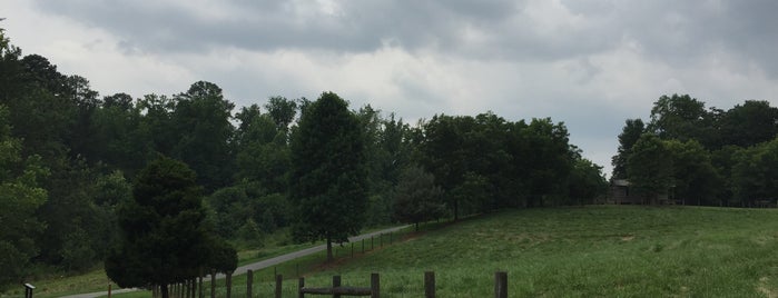 McDaniel Farm Park is one of Georgia escapes.