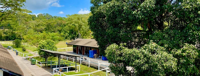 Bukit Timah Saddle Club is one of Upper Bukit Timah.