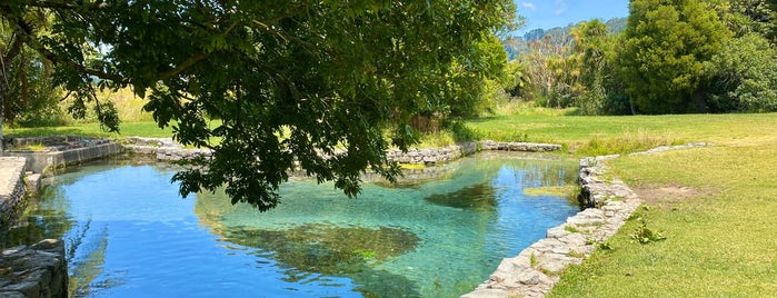 Braemar springs is one of New Zealand.