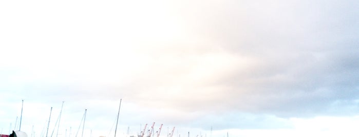 Tauranga Harbour Bridge is one of New Zealand.