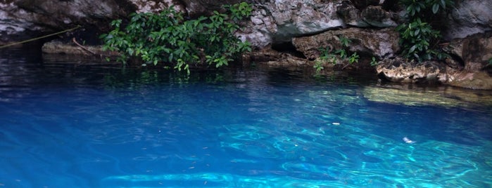 Cenote Yaxbacaltu is one of Orte, die Chilango25 gefallen.
