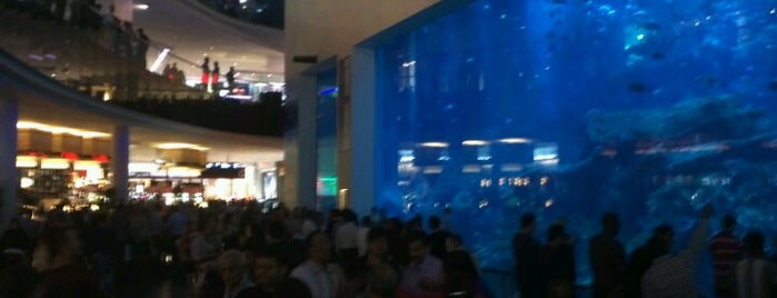 The Dubai Mall is one of Dubai.